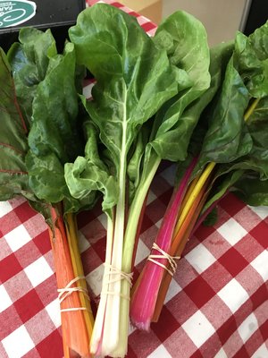 Bunches of fresh Swiss chard with vibrant green leaves and colorful stems, arranged on a red and white checkered tablecloth.