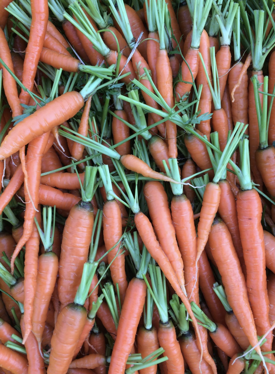 Fresh, vibrant orange carrots with green tops, arranged closely together, showcasing their natural texture and color. Ideal for healthy recipes and organic produce displays.