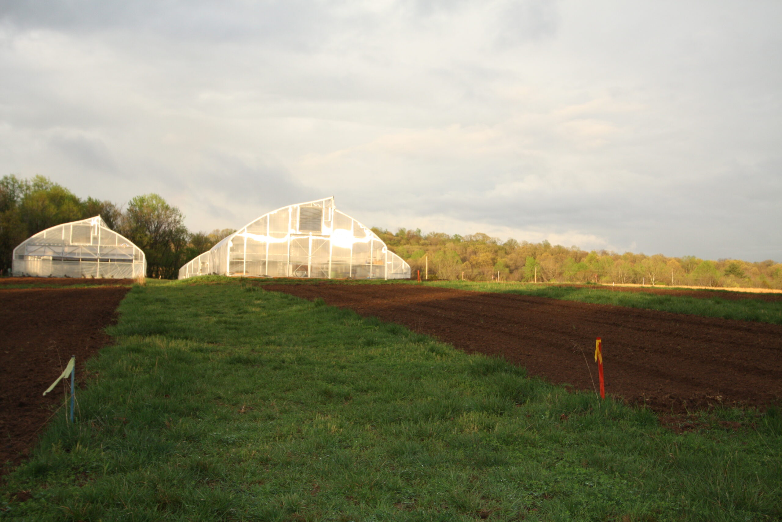 Greenhouses on a farm surrounded by freshly tilled soil and lush grass, under a partly cloudy sky.