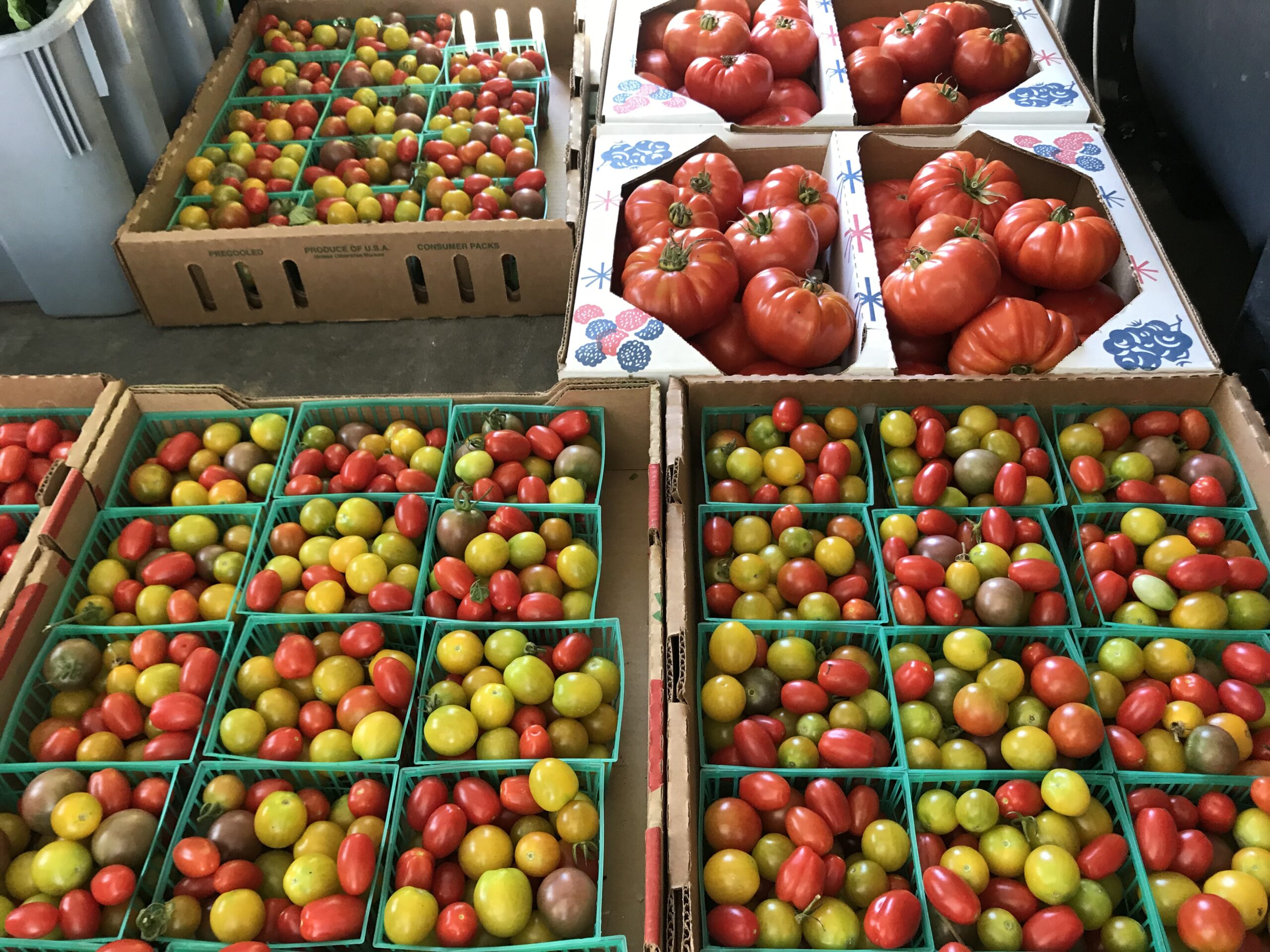 Colorful assortment of fresh tomatoes displayed in green baskets and cardboard boxes at a farmers market, featuring a variety of sizes and colors including red, yellow, and green heirloom tomatoes.